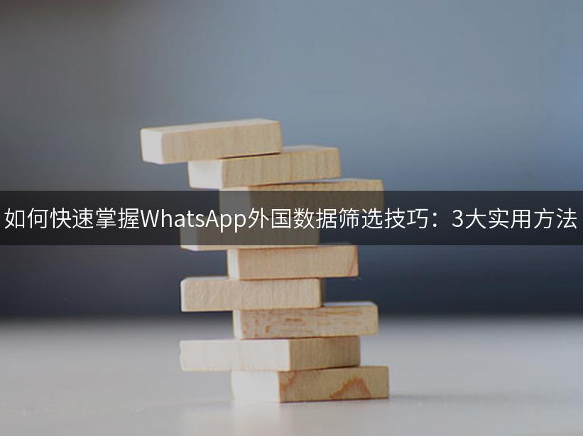 如何快速掌握WhatsApp外国数据筛选技巧：3大实用方法