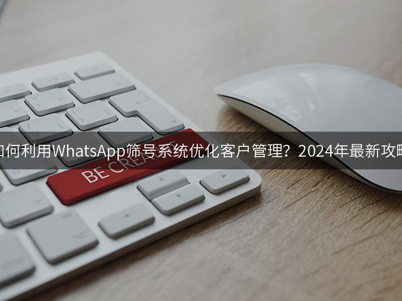 如何利用WhatsApp筛号系统优化客户管理？2024年最新攻略