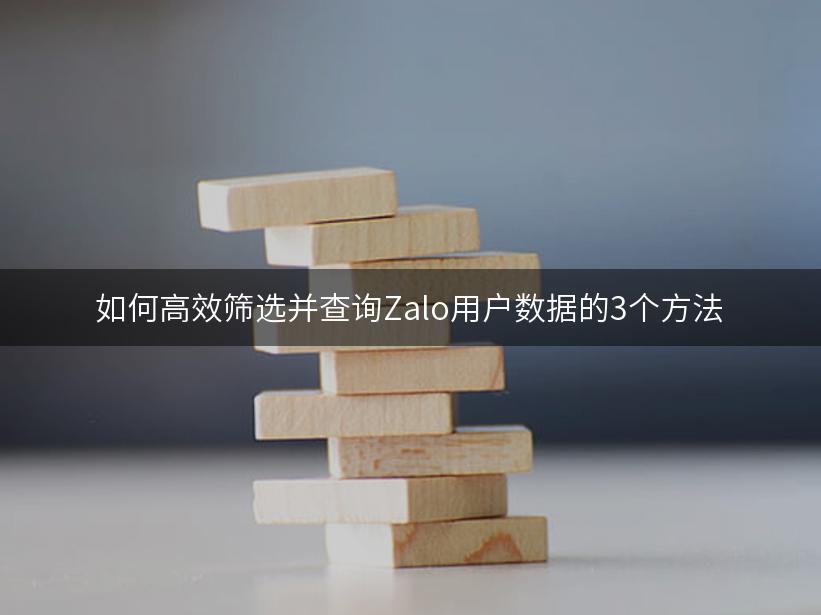 如何高效筛选并查询Zalo用户数据的3个方法