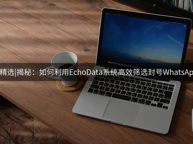 007出海精选|揭秘：如何利用EchoData系统高效筛选封号WhatsApp账号？