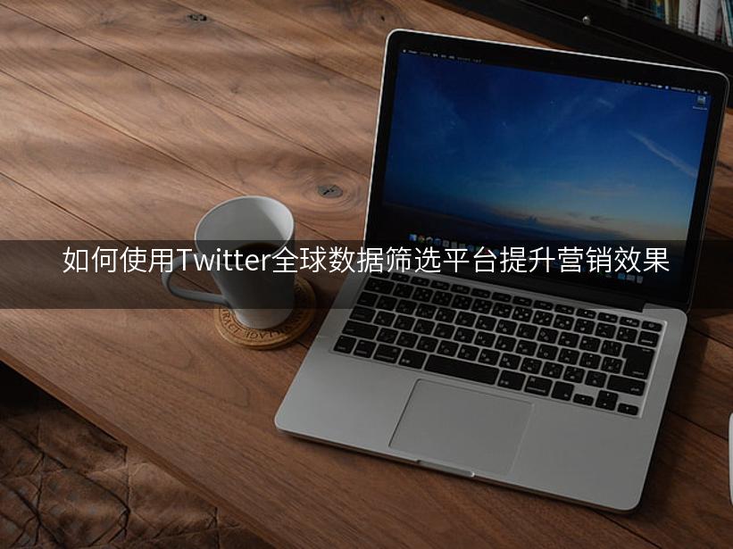 如何使用Twitter全球数据筛选平台提升营销效果
