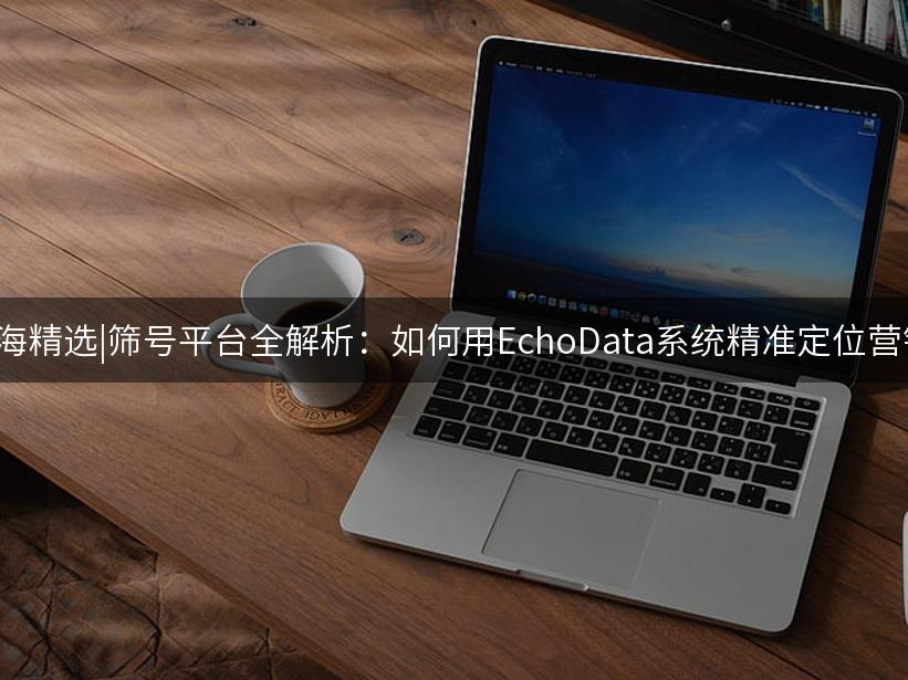 007出海精选|筛号平台全解析：如何用EchoData系统精准定位营销目标