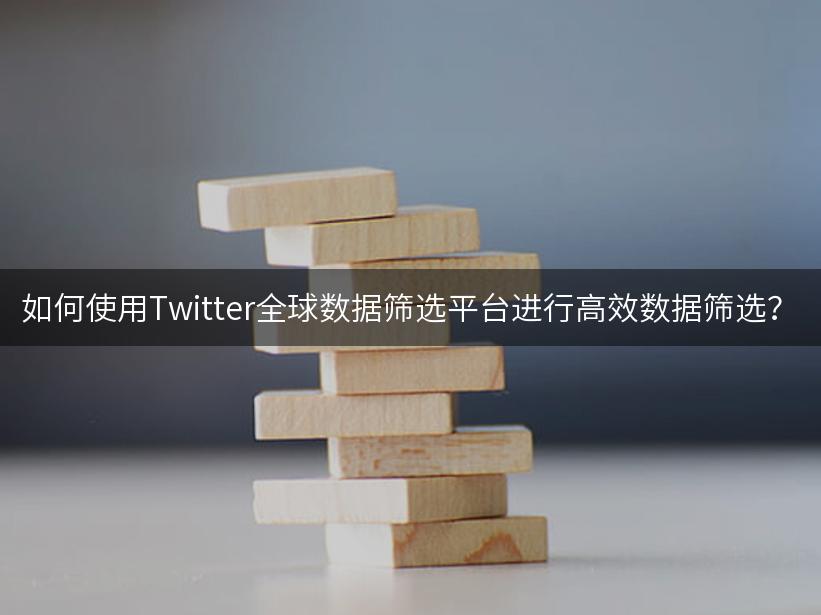 如何使用Twitter全球数据筛选平台进行高效数据筛选？