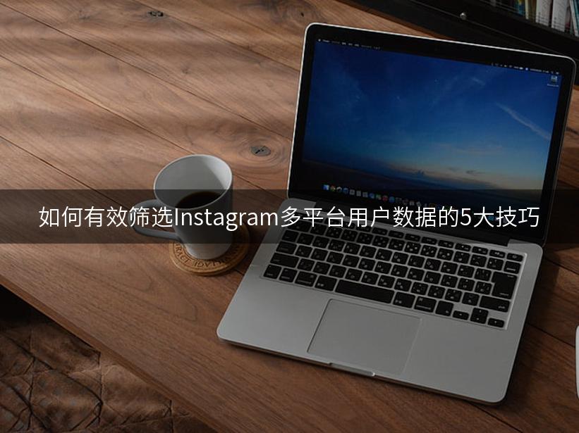 如何有效筛选Instagram多平台用户数据的5大技巧