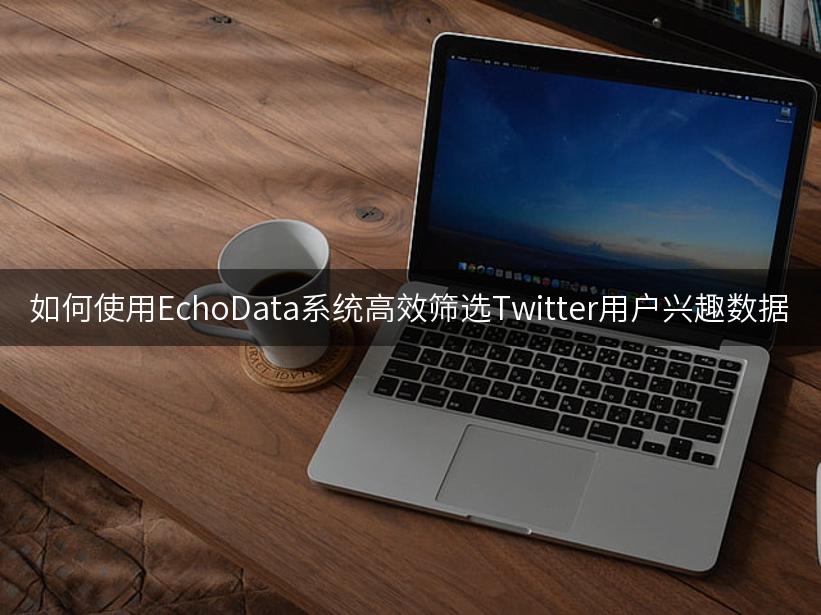 如何使用EchoData系统高效筛选Twitter用户兴趣数据