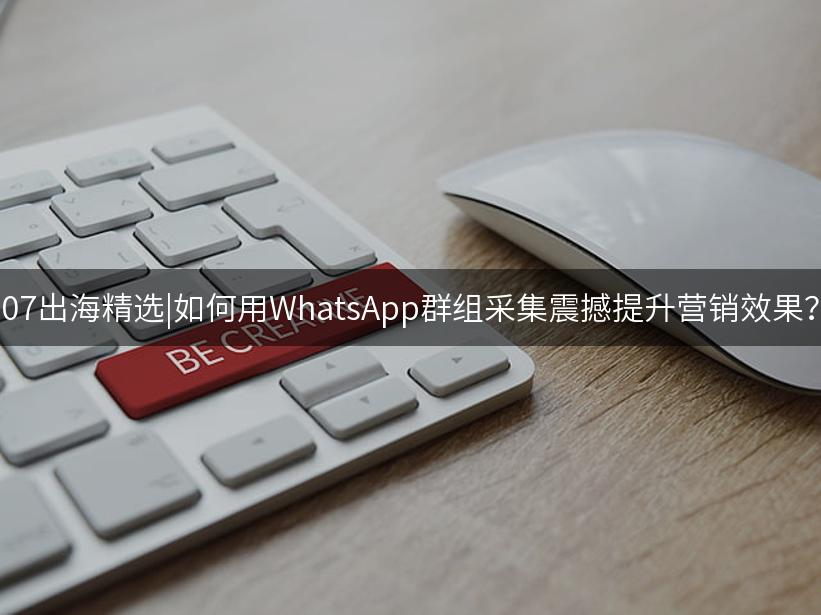 007出海精选|如何用WhatsApp群组采集震撼提升营销效果？